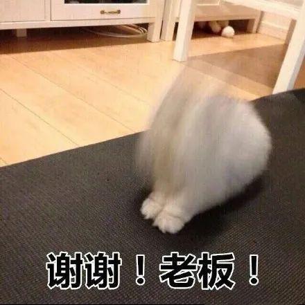 38针！只因夏天在冰箱放了这些东西！九游会J9冰箱突然爆炸！6岁男孩脸缝(图10)